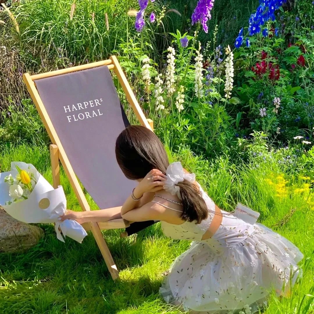 送子仙童来我家